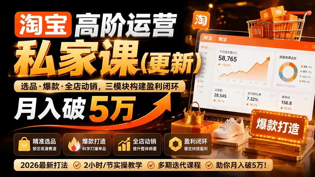 淘宝高阶运营私家课(更新26年-得宝资源站