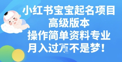 小红书宝宝起名项目高级版本，操作简单，资料专业，月入过W-得宝资源站