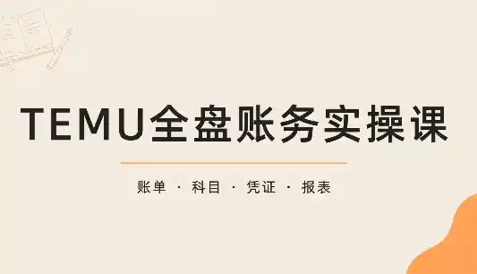 TEMU全盘账务实操课：账单导出、科目设置、利润核算-得宝资源站