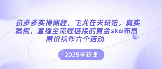 拼多多实操课程，飞龙在天玩法，真实案例，直播全流程链接的黄金sku布局原价操作六个活动-得宝资源站