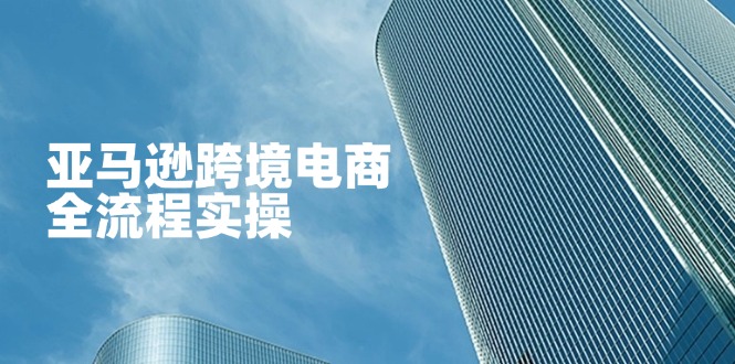 （14252期）亚马逊跨境电商全流程实操，教你从零开始，掌握店铺运营与广告技巧-得宝资源站