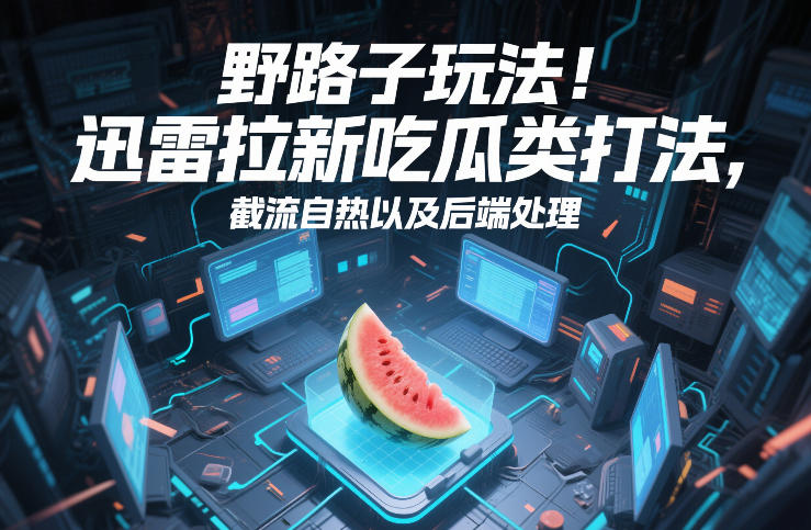 野路子玩法！迅雷拉新吃瓜类打法，截流自热以及后端处理-得宝资源站