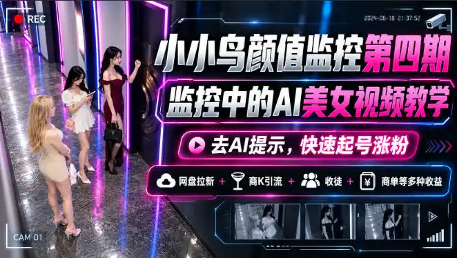 小小鸟颜值监控第四期，监控中的AI美女视频教学，去AI提示，快速起号涨粉，网盘拉新+商K引流+收徒+商单等多种收益-得宝资源站