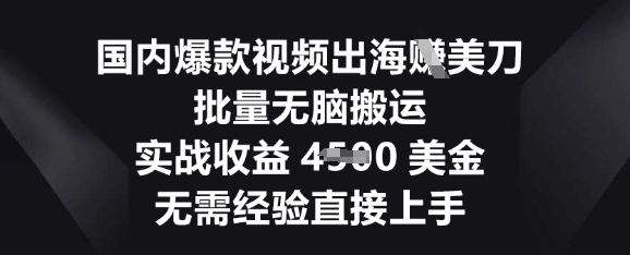 国内爆款视频出海挣美刀，批量无脑搬运，实战收益4.5k，无需经验直接上手-得宝资源站