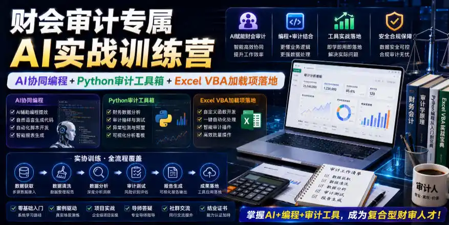 财会审计专属AI实战训练营｜AI协同编程+Python审计工具箱+Excel VBA加载项落地(更新0816)-得宝资源站