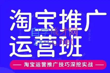 美迪电商·淘宝高级运营班+推广运营班(更新9月)-得宝资源站