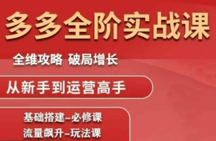 大炮·拼多多全阶实战课程(更新2026)-得宝资源站