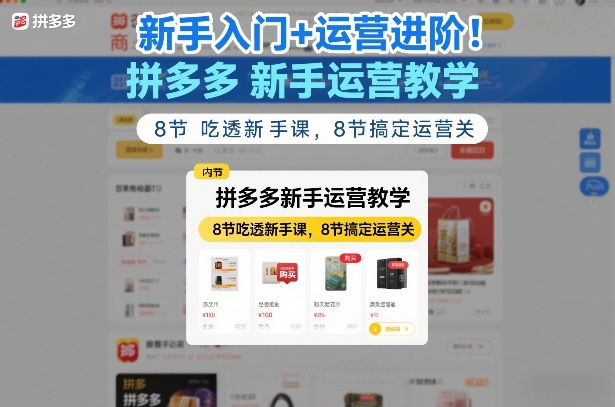 新手入门+运营进阶！拼多多新手运营教学，8节吃透新手课，8节搞定运营关-得宝资源站