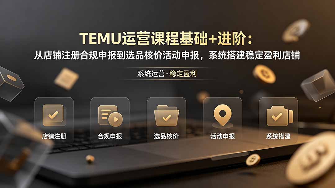 TEMU运营课程(基础+进阶-得宝资源站
