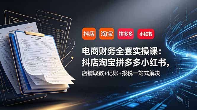 电商财务全套实操课：抖店淘宝拼多多小红书，店铺取数+记账+报税一站式解决-得宝资源站