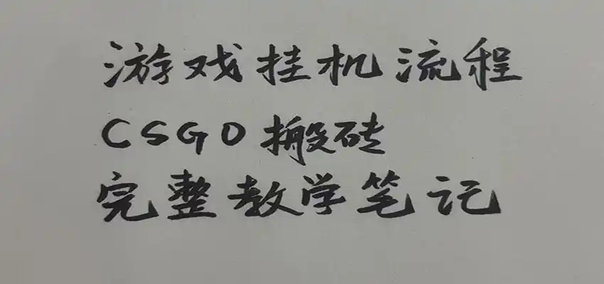 游戏挂机全流程笔记分享，CSGO游戏搬砖，小白看了当天学会见收益-得宝资源站