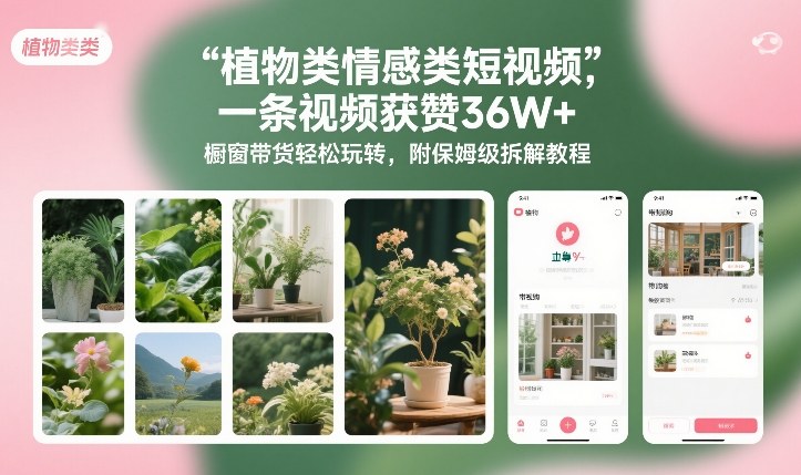 植物类情感类短视频，一条视频获赞36W+，橱窗带货轻松玩转，附保姆级拆解教程-得宝资源站