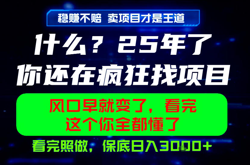 26年，请不要疯狂的找项目做了！卖项目才是真的稳賺不赔，看完照做，保底日入1k+【揭秘】-得宝资源站
