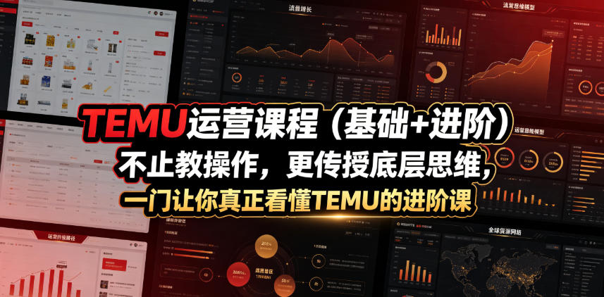 TEMU运营课程(基础+进阶)，不止教操作，更传授底层思维，一门让你真正看懂TEMU的进阶课-得宝资源站