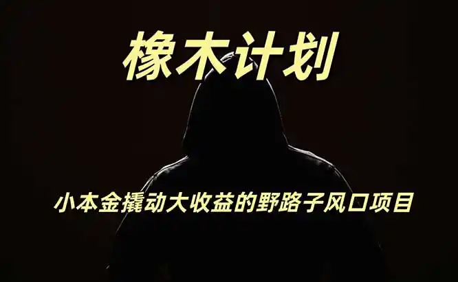 橡木计划，小投入撬动高回报的风口野路子项目，一天投入2小时左右-得宝资源站