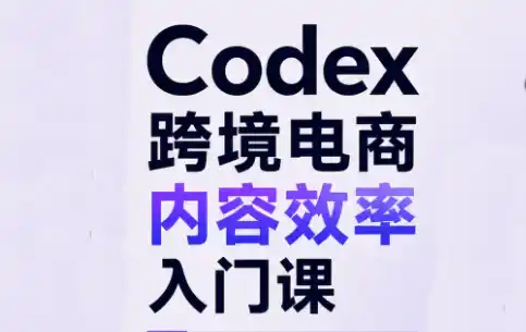 Codex跨境电商内容效率入门课-得宝资源站