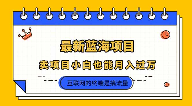 （14289期）2025年最新蓝海项目，卖项目小白也能月入过万-得宝资源站