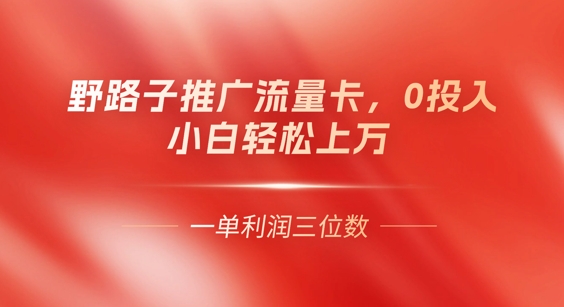 0门槛推广流量卡，一单收益上百，0投入，小白月入过W-得宝资源站