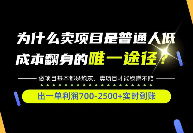 普通人如何靠互联网賺取自己的第一桶金！全类目实操型教学，看完你全都懂了！【揭秘】-得宝资源站