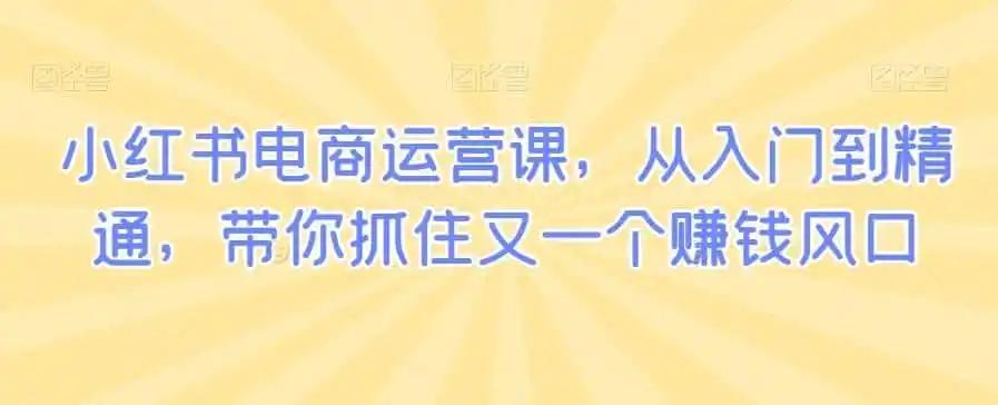 小红书电商运营课，从入门到精通，带你抓住又一个赚钱风口-得宝资源站
