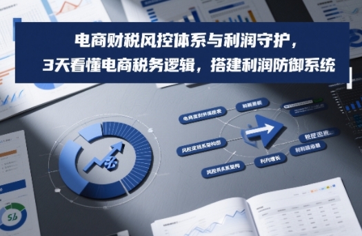 电商财税风控体系与利润守护，3天看懂电商税务逻辑，搭建利润防御系统-得宝资源站