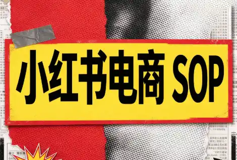 书豪必胜小红书电商sop(更新9月)-得宝资源站