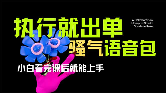 （14170期）爆火全网的开车导航骚气语音包,只要执行就出单，小白看完课程就能实操...-得宝资源站