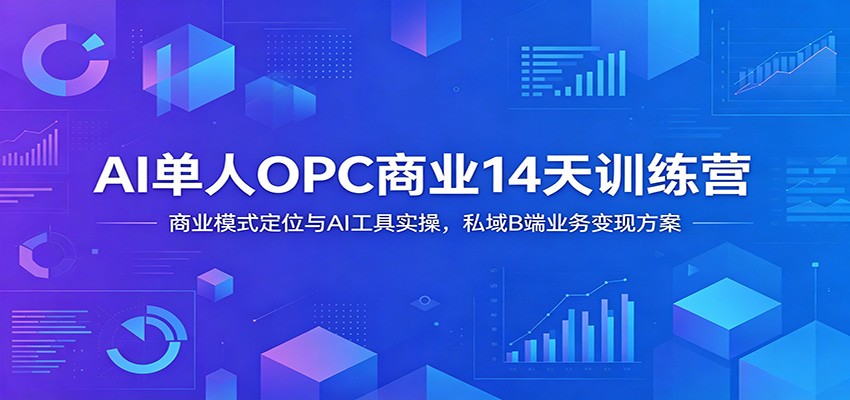 AI单人OPC商业14天训练营：商业模式定位与AI工具实操，私域B端业务变现方案-得宝资源站