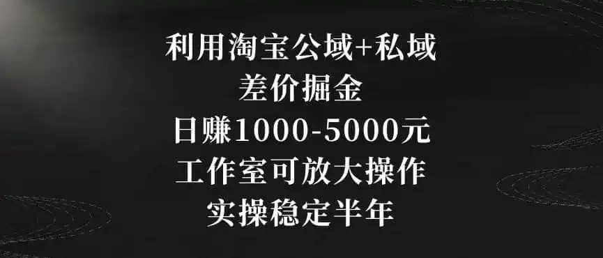 利用淘宝公域+私域差价掘金，日赚1000-5000元，工作室可放大操作，实操稳定半年【揭秘】-得宝资源站