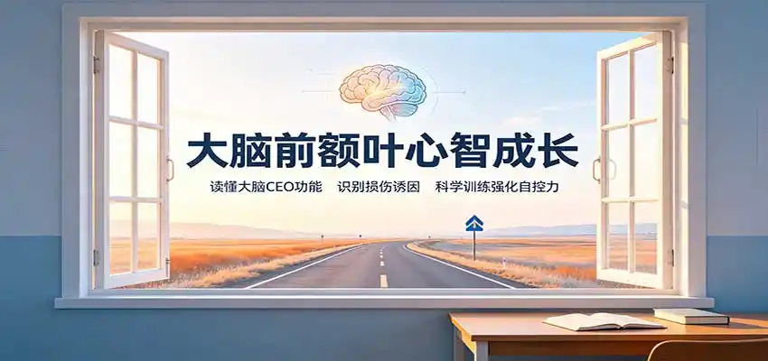 大脑前额叶心智成长：读懂大脑CEO功能，识别损伤诱因，科学训练强化自控力-得宝资源站