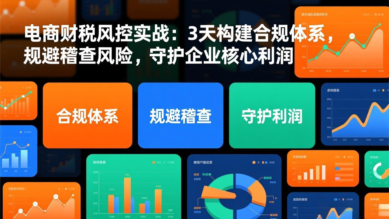 电商财税风控实战：3天构建合规体系，规避稽查风险，守护企业核心利润-得宝资源站