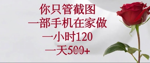 你只管截图，一部手机在家操作，一小时120.一天5张【揭秘】-得宝资源站